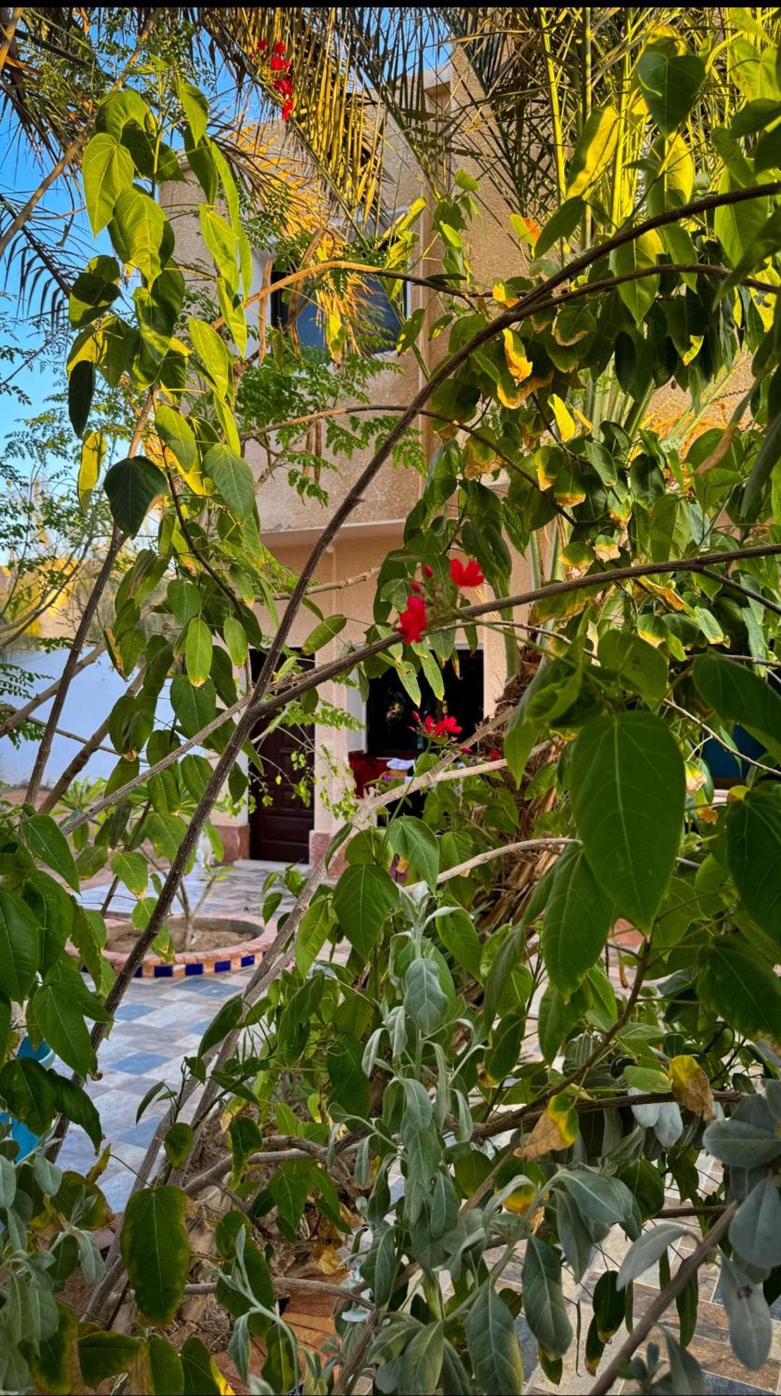 Miramar Camp Dahab Hotel Exterior photo